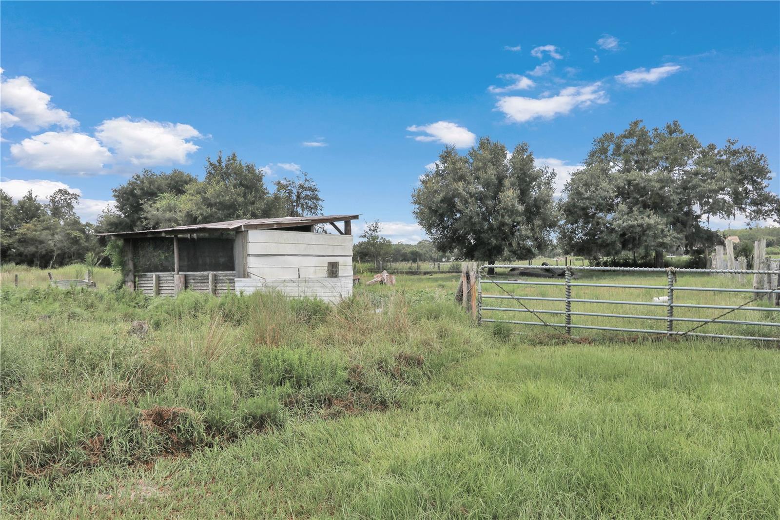 36800 MILL CREEK RD, EUSTIS, FL, 32736