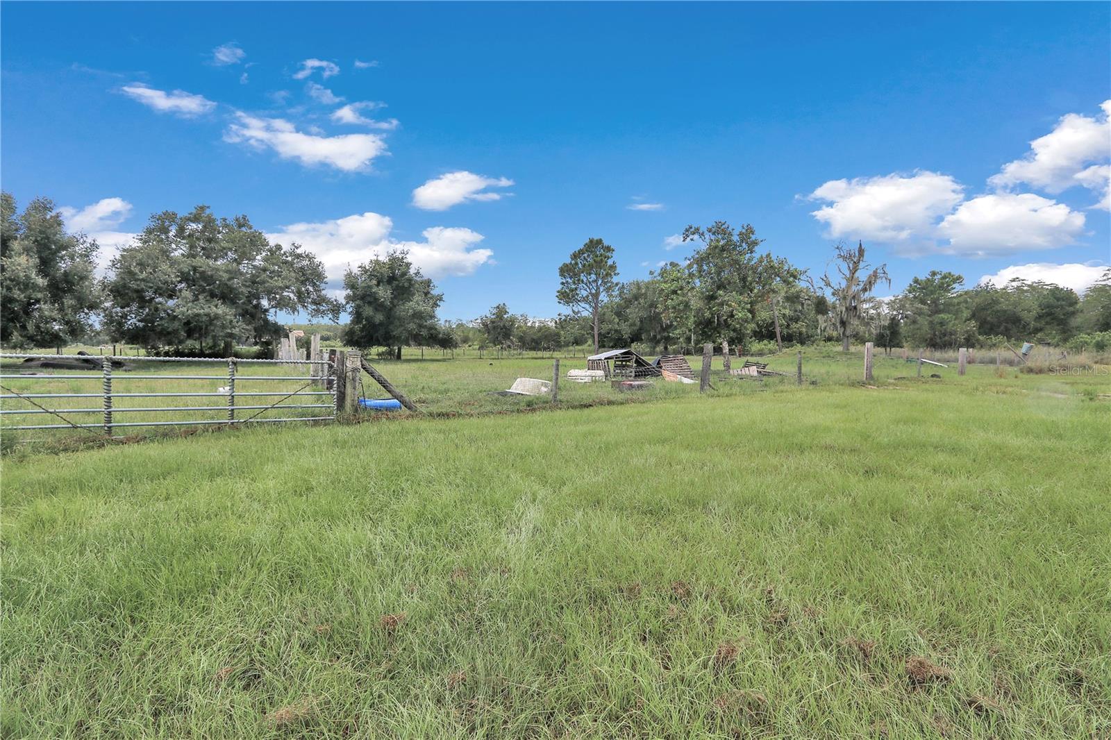 36800 MILL CREEK RD, EUSTIS, FL, 32736