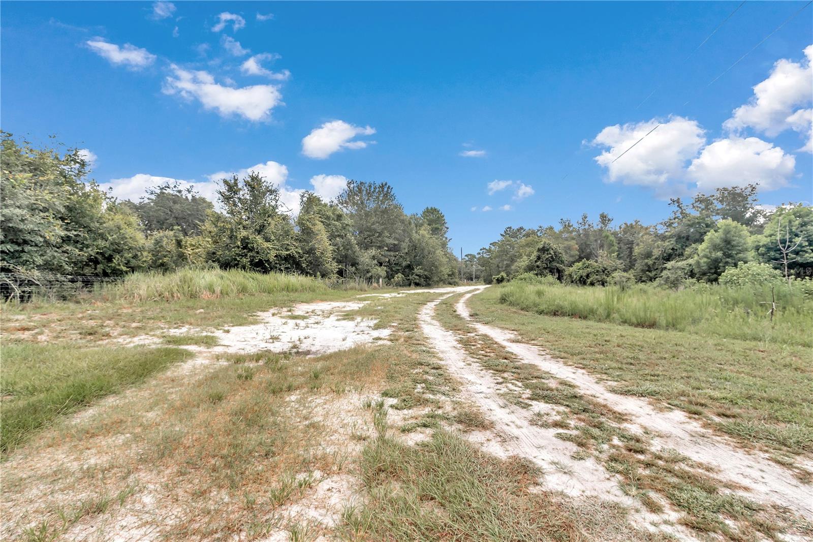 36800 MILL CREEK RD, EUSTIS, FL, 32736