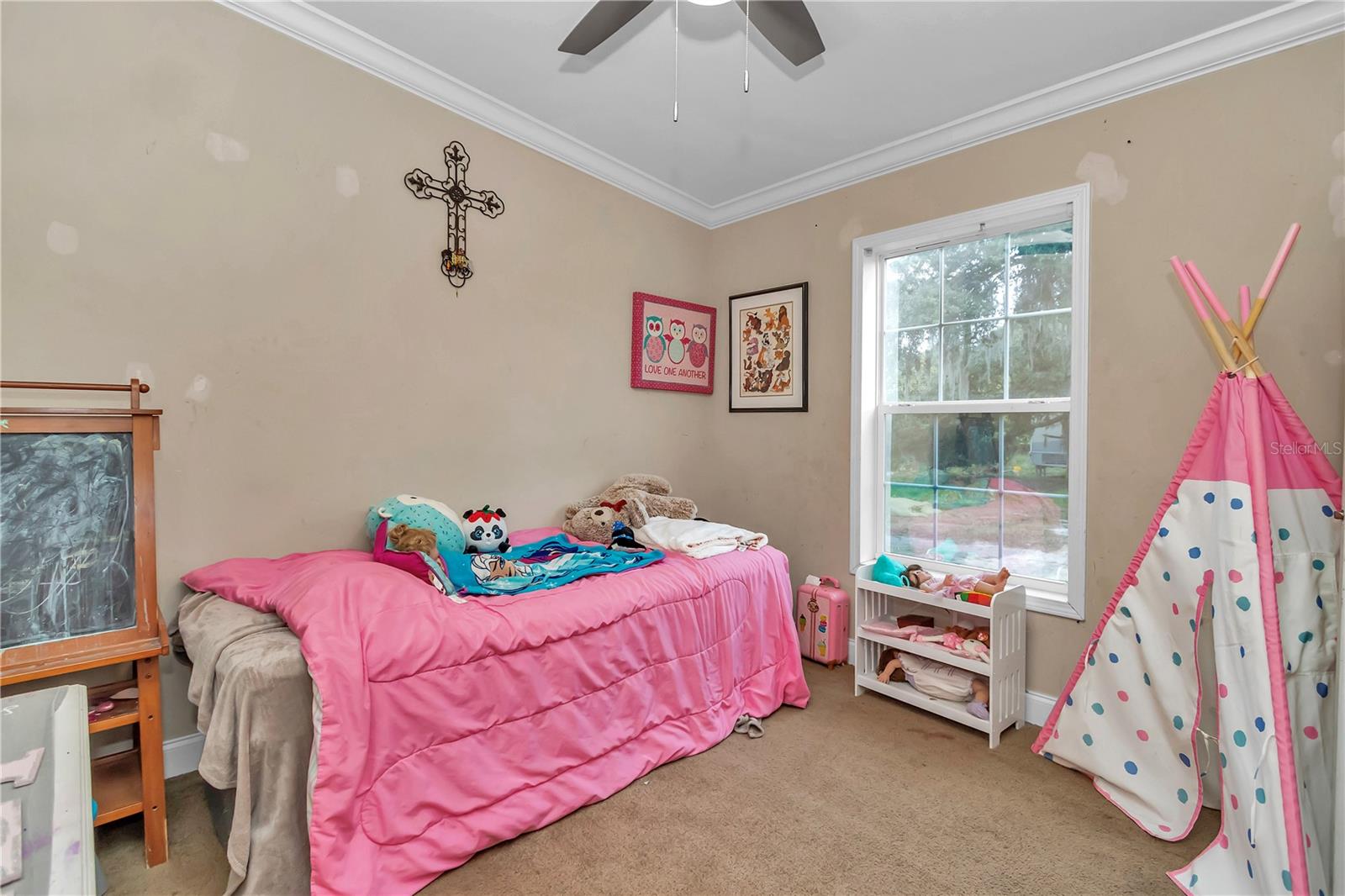 36800 MILL CREEK RD, EUSTIS, FL, 32736