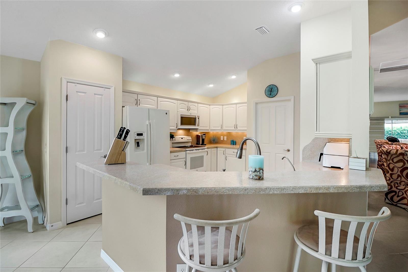 2411 ADELPHI AVE, THE VILLAGES, FL, 32162