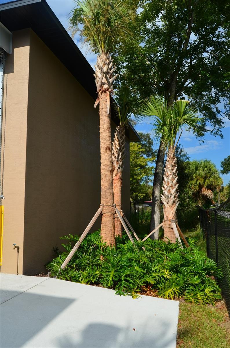 1245 Bld-3 CANAL ST #Bld-3, NEW SMYRNA BEACH, FL, 32168