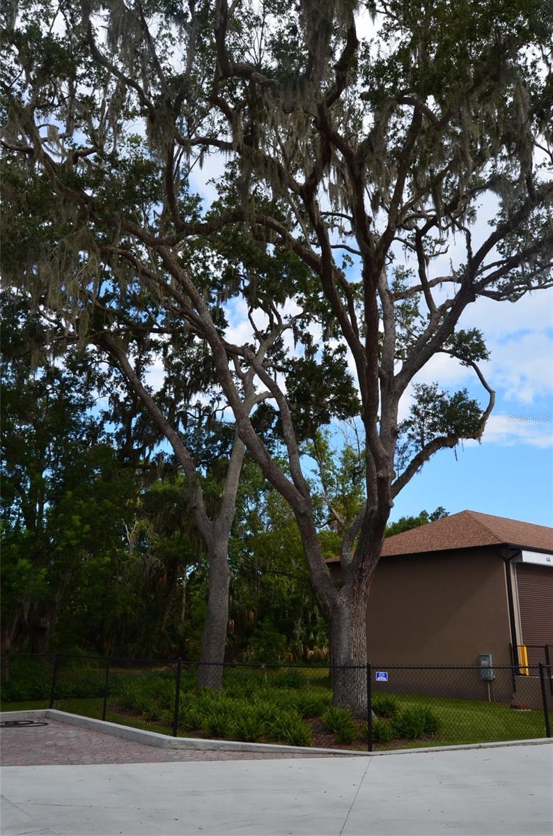 1245 Bld-10 CANAL ST #Bld-10, NEW SMYRNA BEACH, FL, 32168