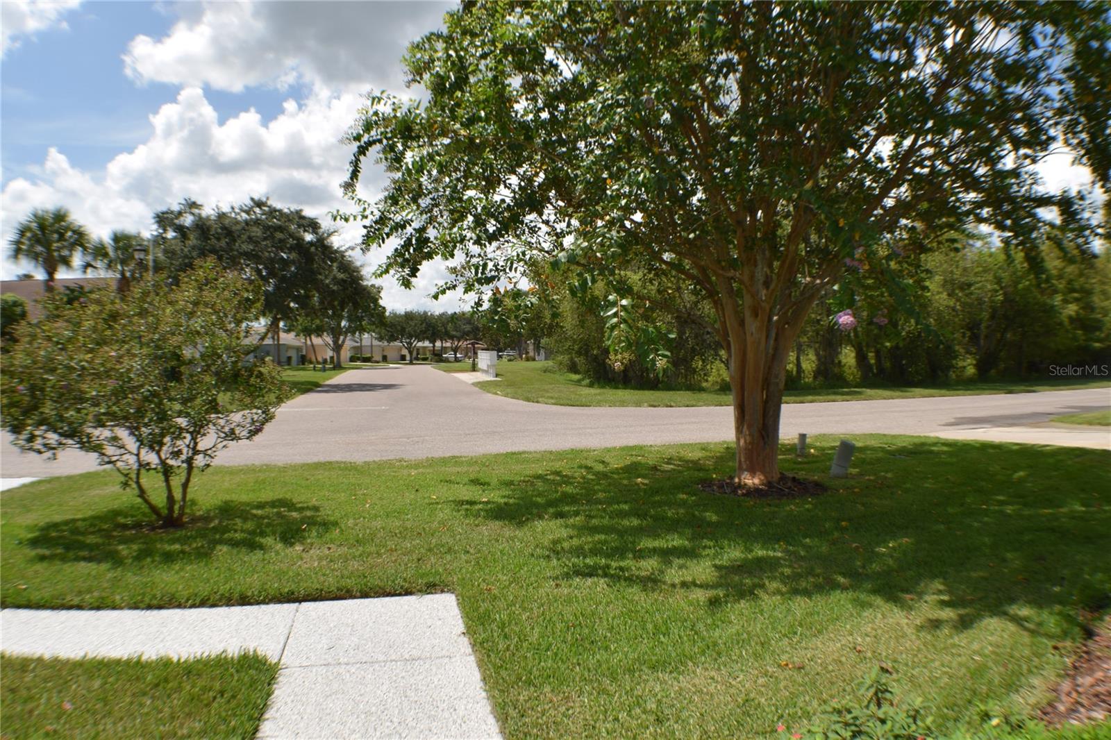 10237 COLLAR DR, SAN ANTONIO, FL, 33576