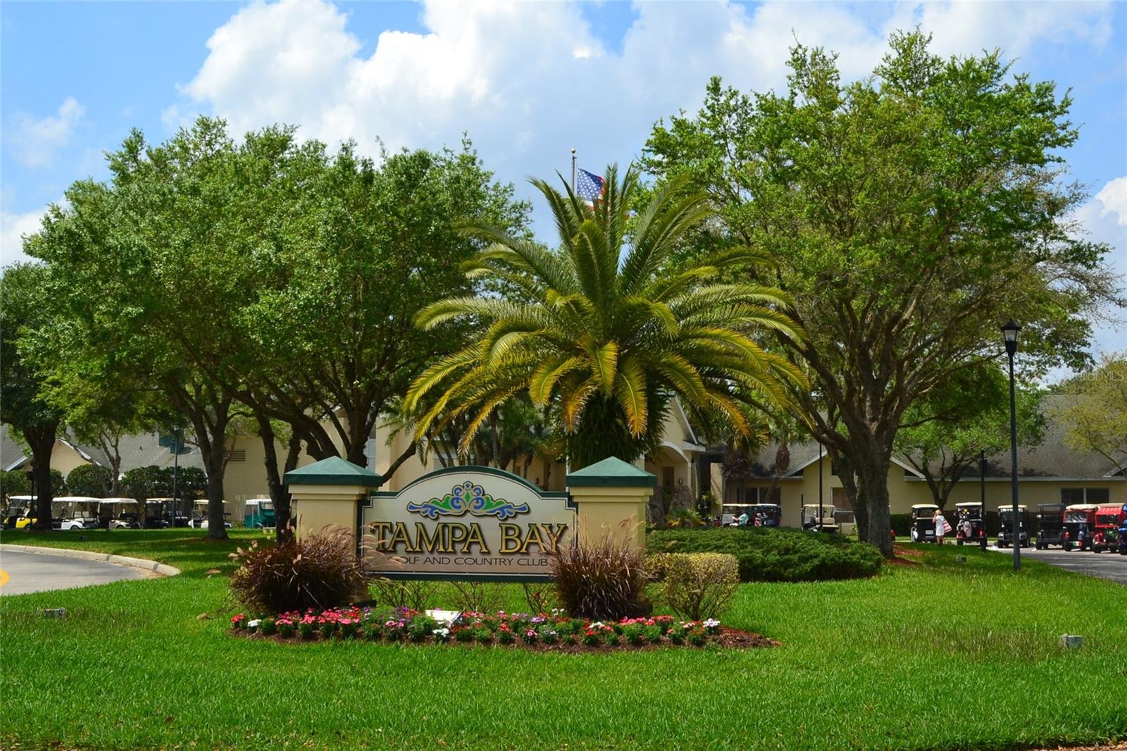 10237 COLLAR DR, SAN ANTONIO, FL, 33576