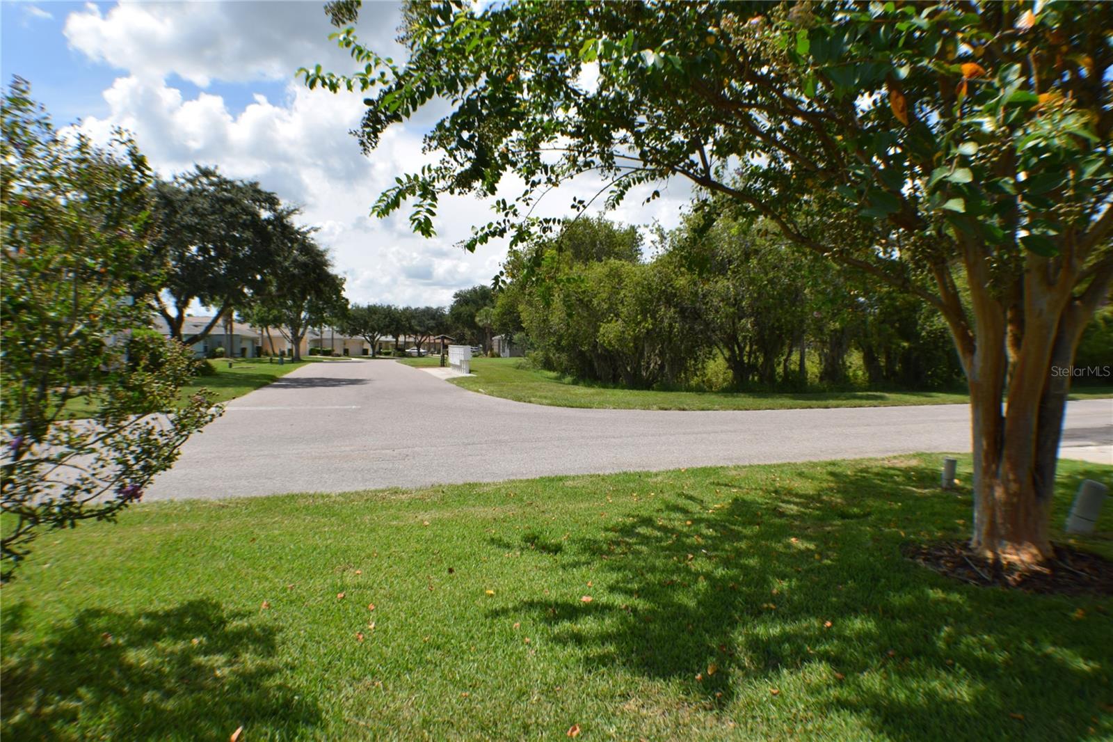 10237 COLLAR DR, SAN ANTONIO, FL, 33576