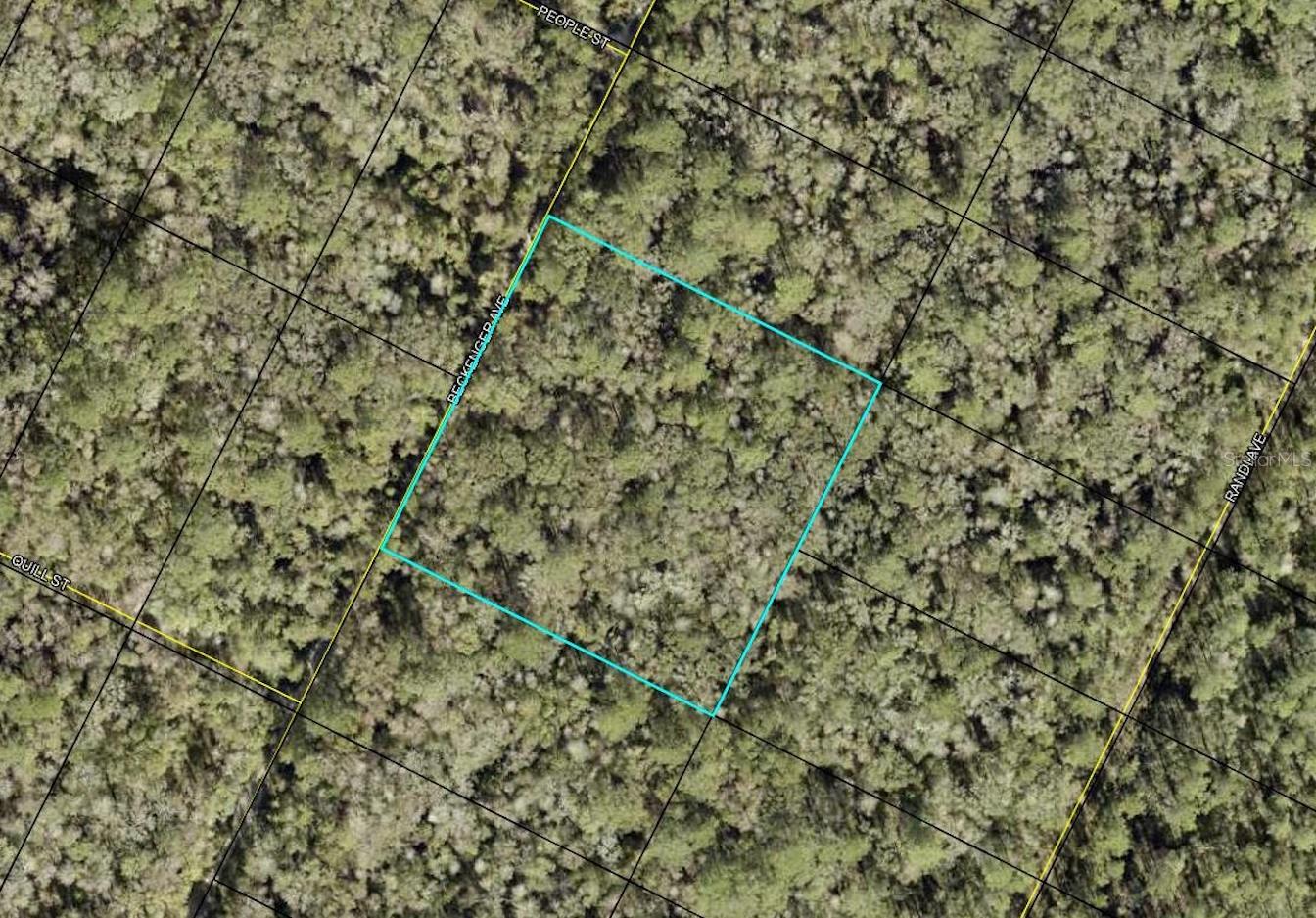 BECKENGER, HASTINGS, FL, 32145