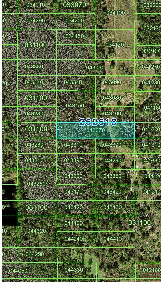 OLD GRADE ROAD, POLK CITY, FL, 33868