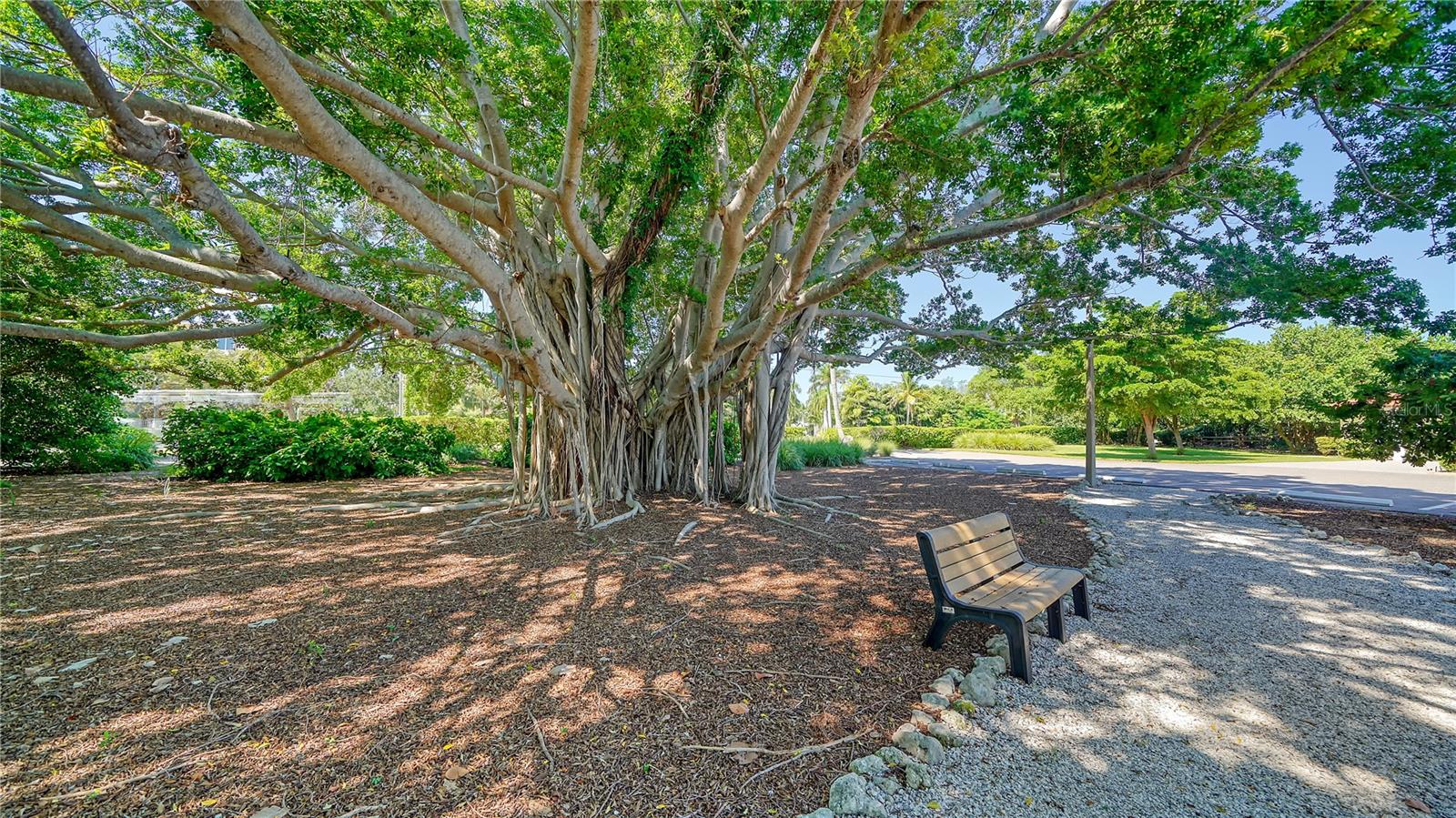 4540 GULF OF MEXICO DR #PH1, LONGBOAT KEY, FL, 34228