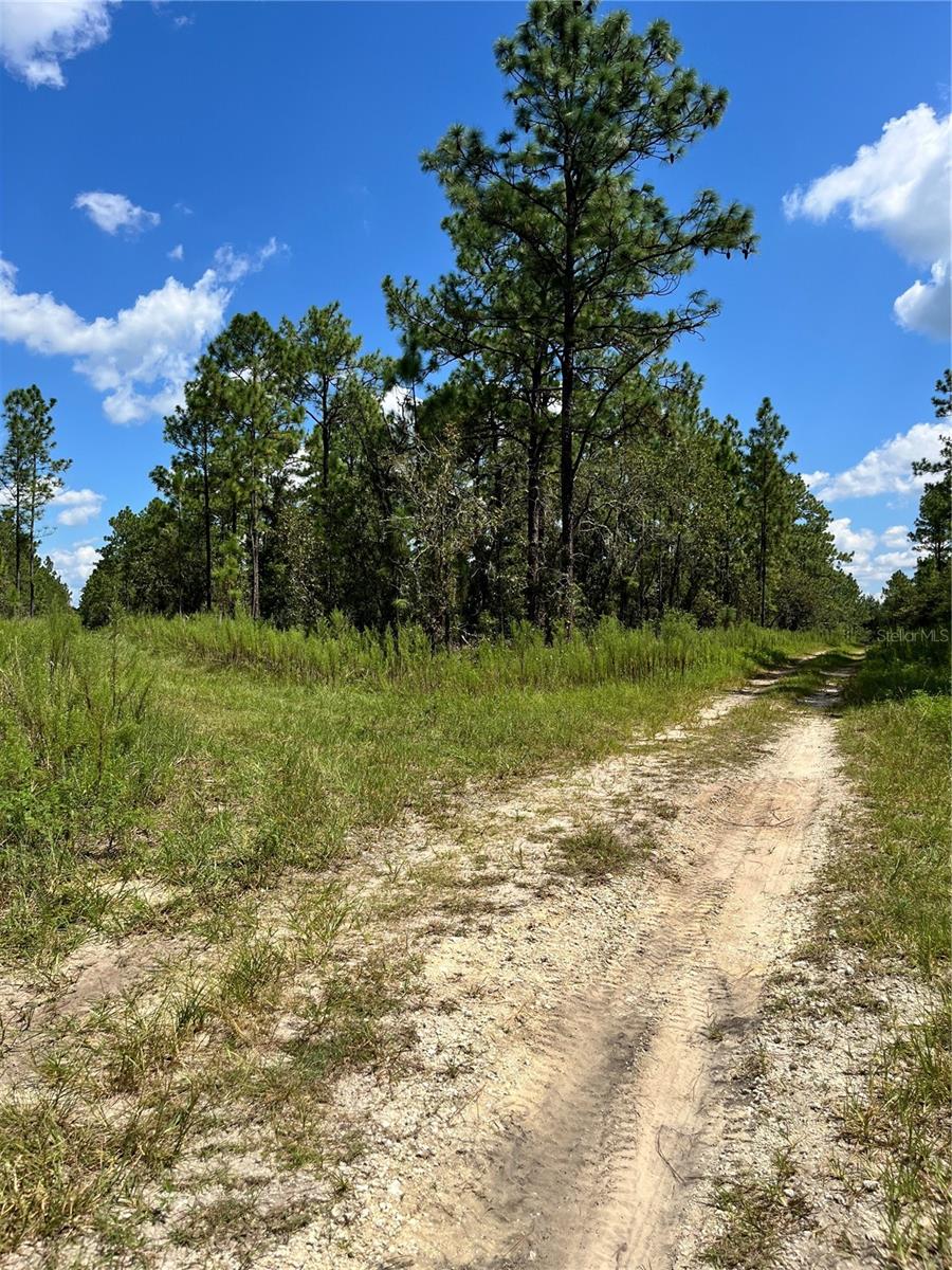 TBD SW 156TH CT, OCALA, FL, 34481