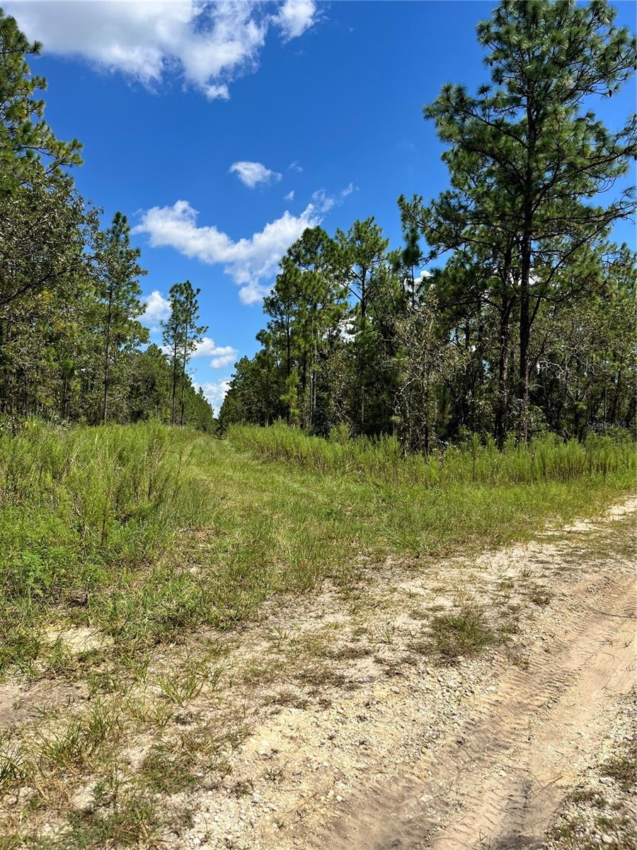 TBD SW 156TH CT, OCALA, FL, 34481
