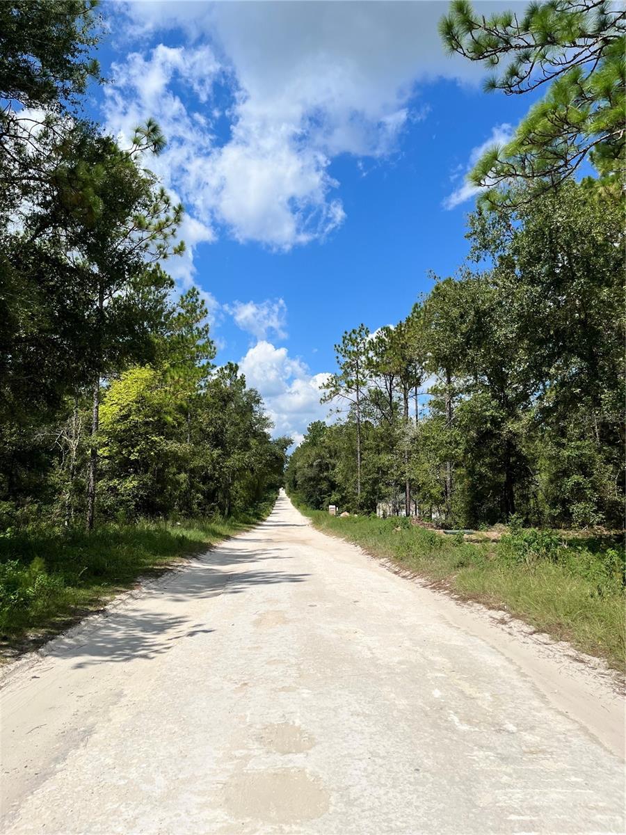 TBD SW 156TH CT, OCALA, FL, 34481