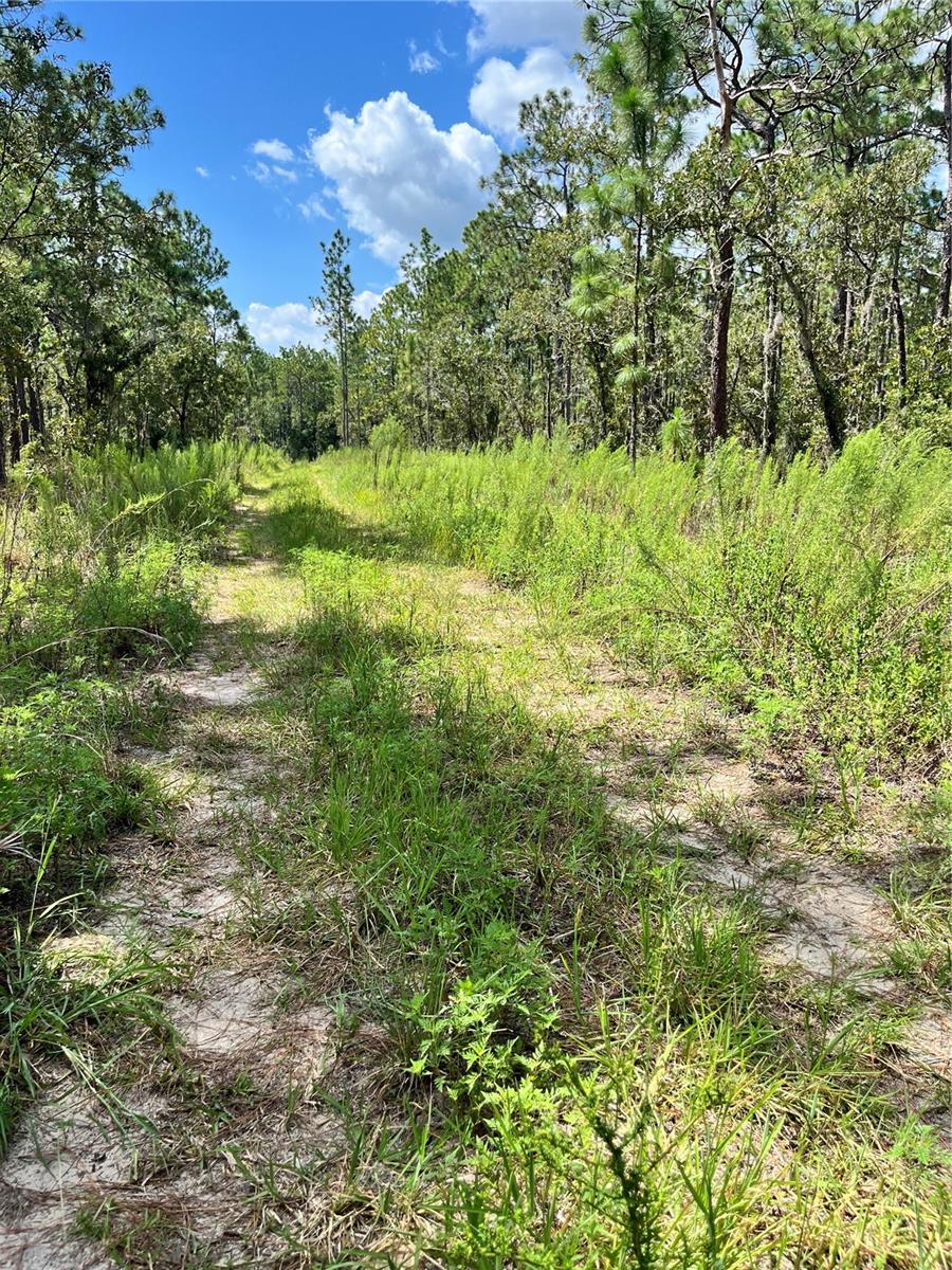 TBD SW 156TH CT, OCALA, FL, 34481