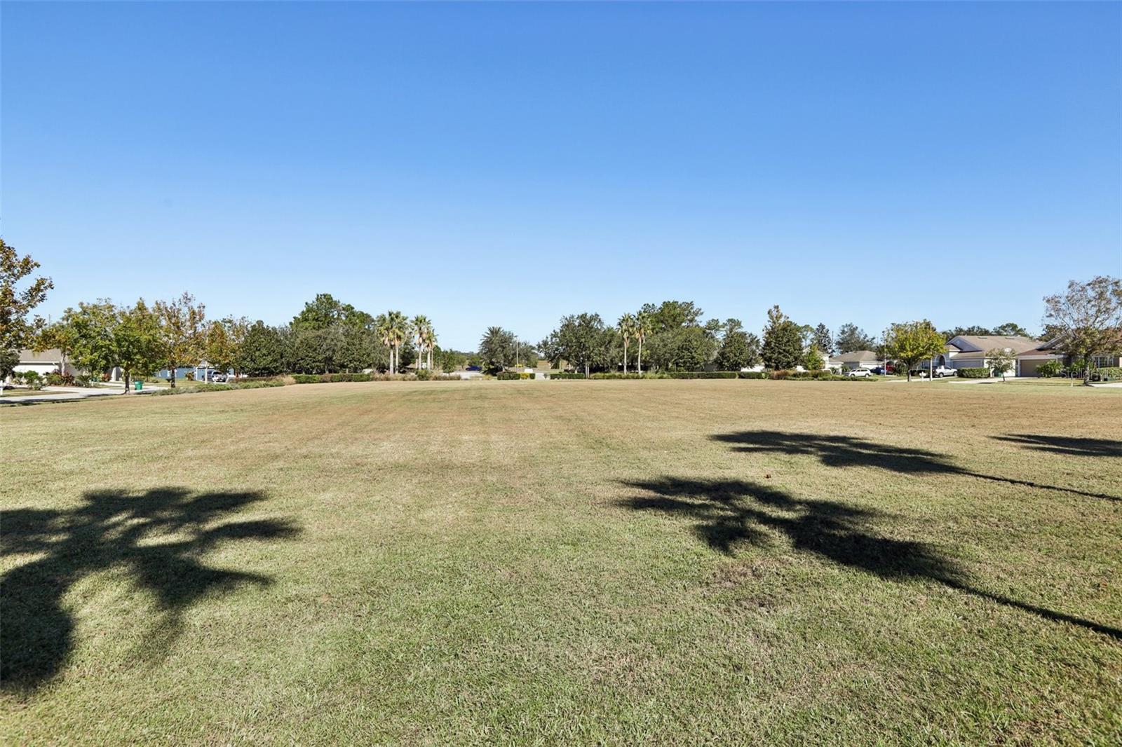 7720 RATHDOWN LN, WESLEY CHAPEL, FL, 33545