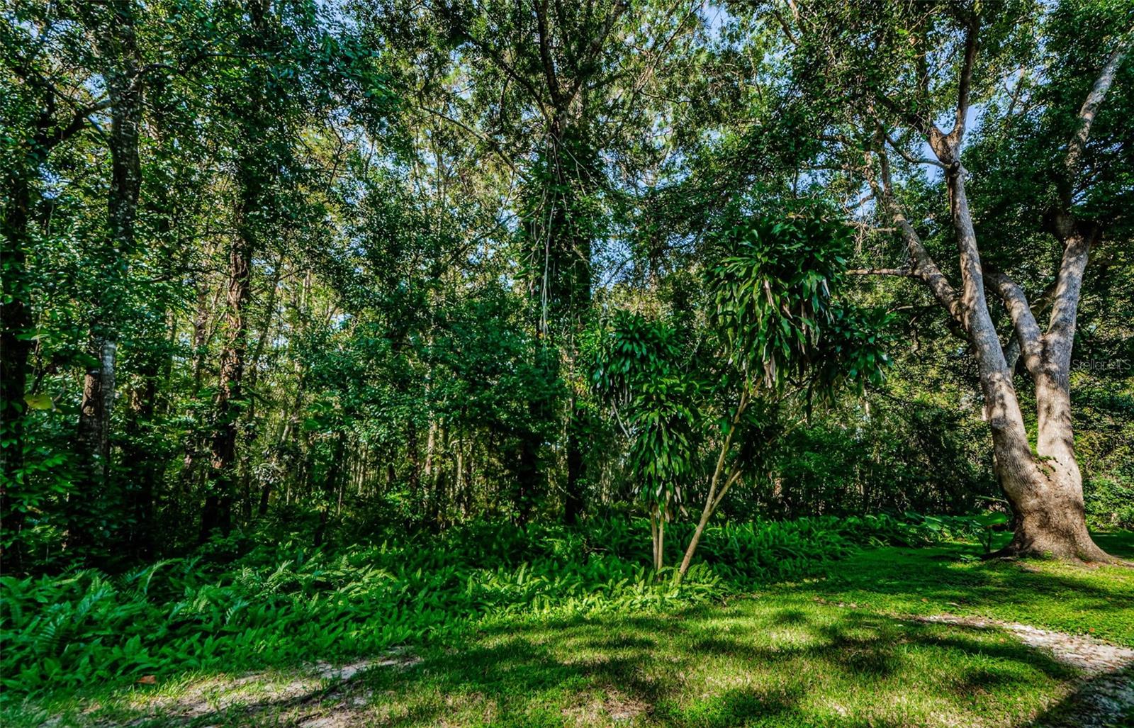 1398 SHADY PINE WAY #D3, TARPON SPRINGS, FL, 34688