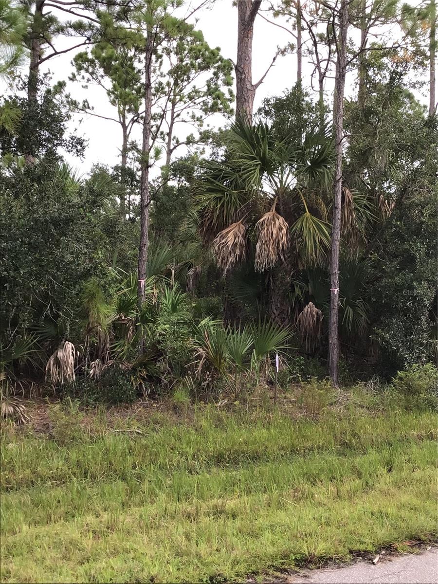14202,m 14210,14218,14226 HYDRANGEA AVE, PORT CHARLOTTE, FL, 33953