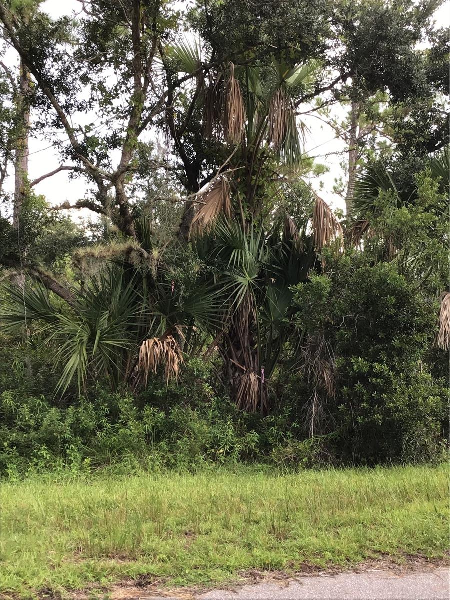14202,m 14210,14218,14226 HYDRANGEA AVE, PORT CHARLOTTE, FL, 33953