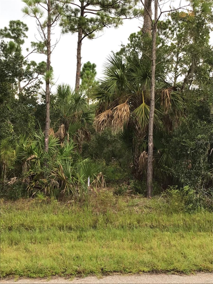 14202,m 14210,14218,14226 HYDRANGEA AVE, PORT CHARLOTTE, FL, 33953
