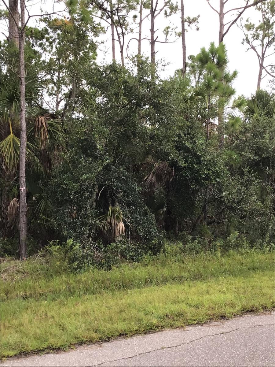14202,m 14210,14218,14226 HYDRANGEA AVE, PORT CHARLOTTE, FL, 33953