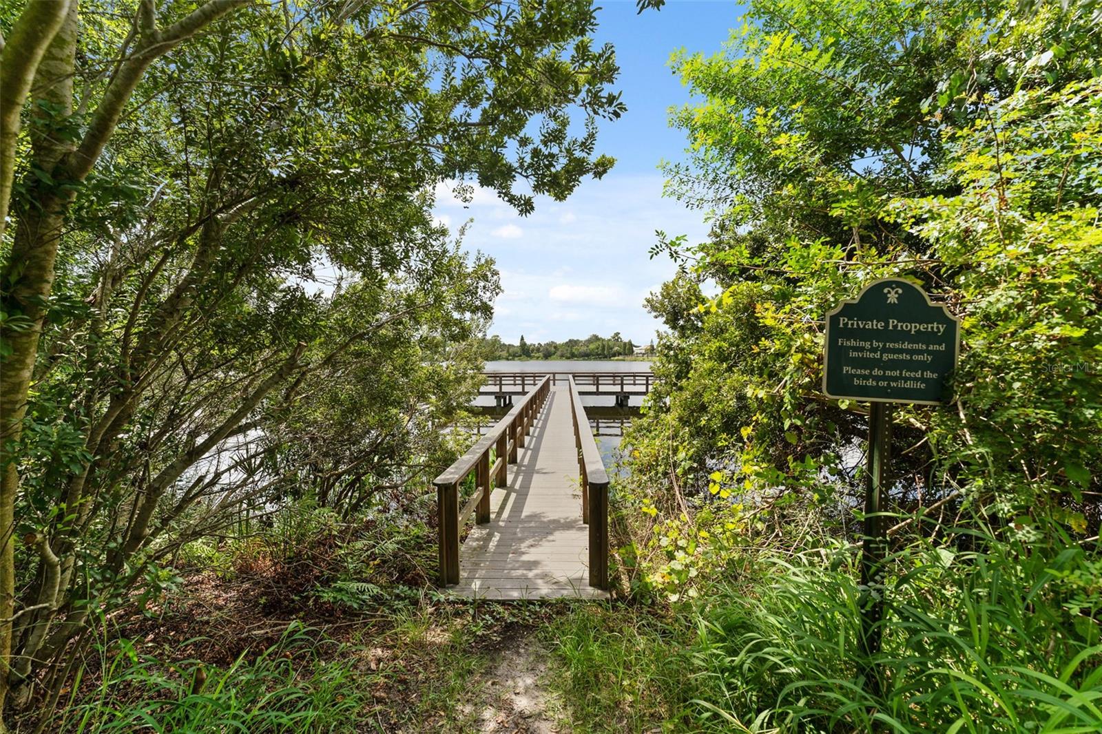 10549 LAKE MONTAUK DR, RIVERVIEW, FL, 33578