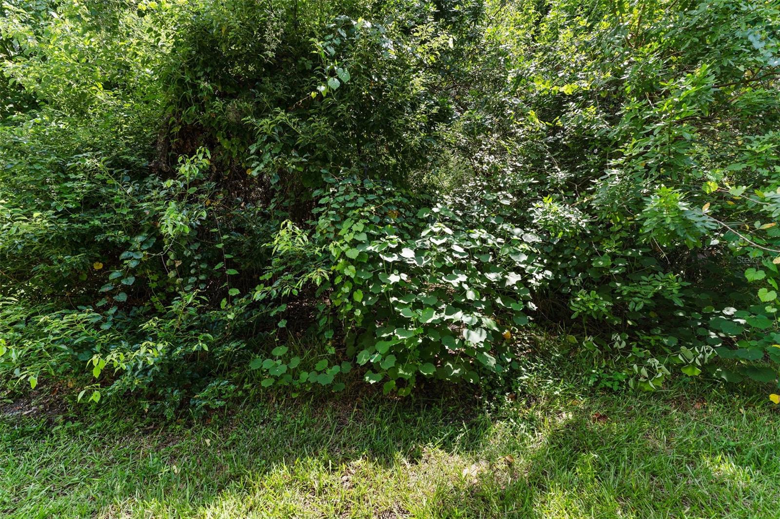 10549 LAKE MONTAUK DR, RIVERVIEW, FL, 33578