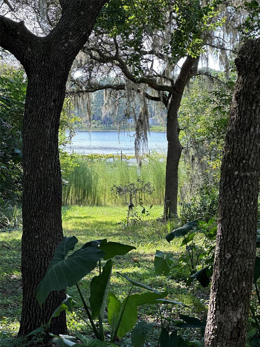 42225 SAINT CLAIRE LAKE DR, DELAND, FL, 32720