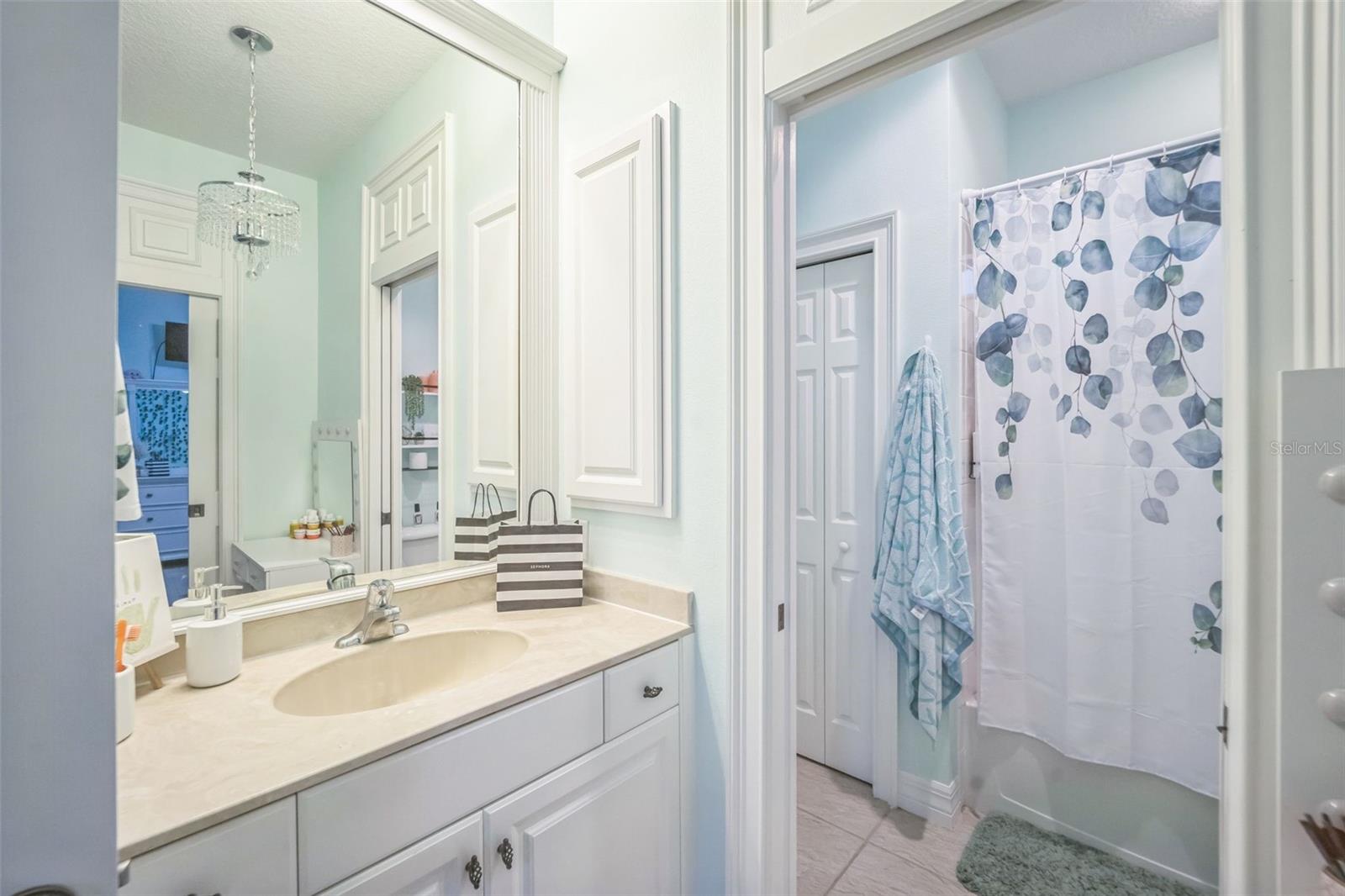 17308 HOWLING WOLF RUN, PARRISH, FL, 34219