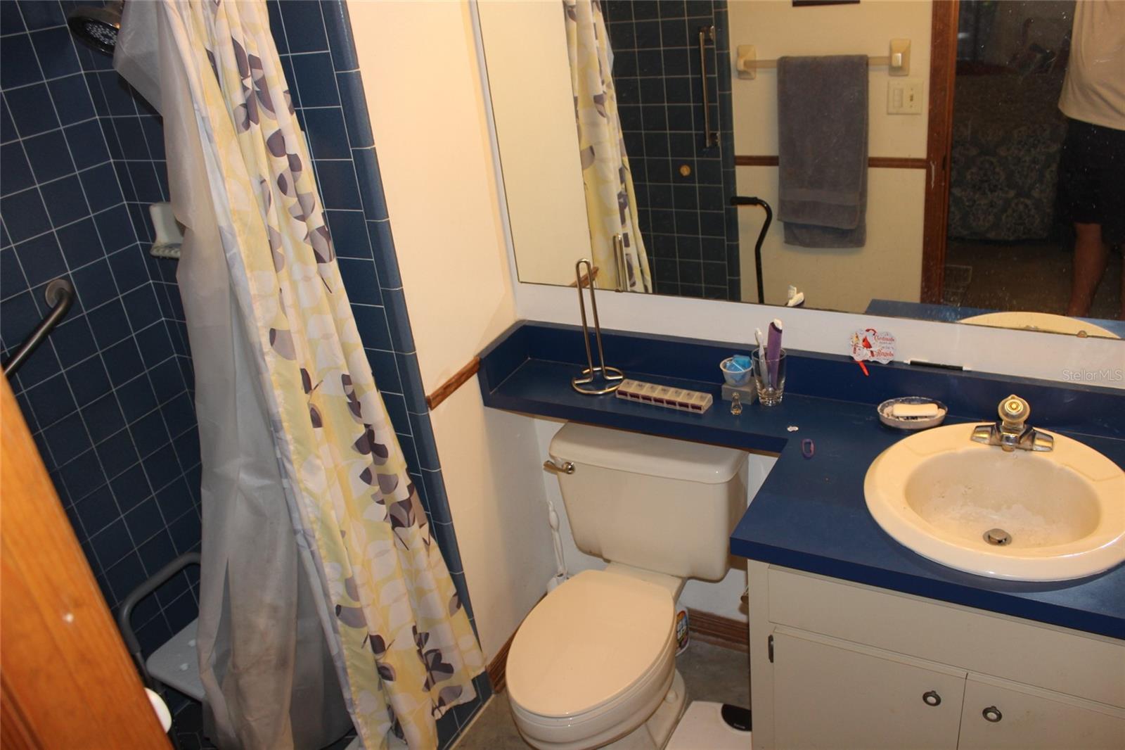 2681 WASHINGTON AVE #18, EUSTIS, FL, 32726