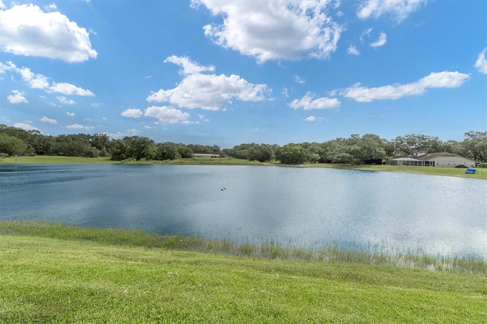8607 CRANES ROOST DR, NEW PORT RICHEY, FL, 34654