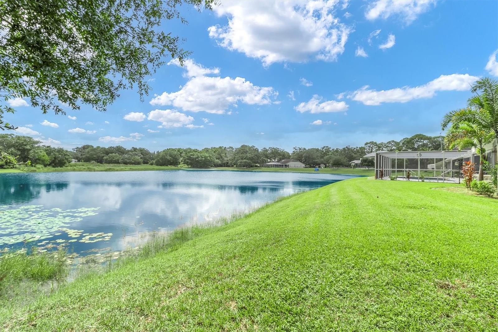 8607 CRANES ROOST DR, NEW PORT RICHEY, FL, 34654