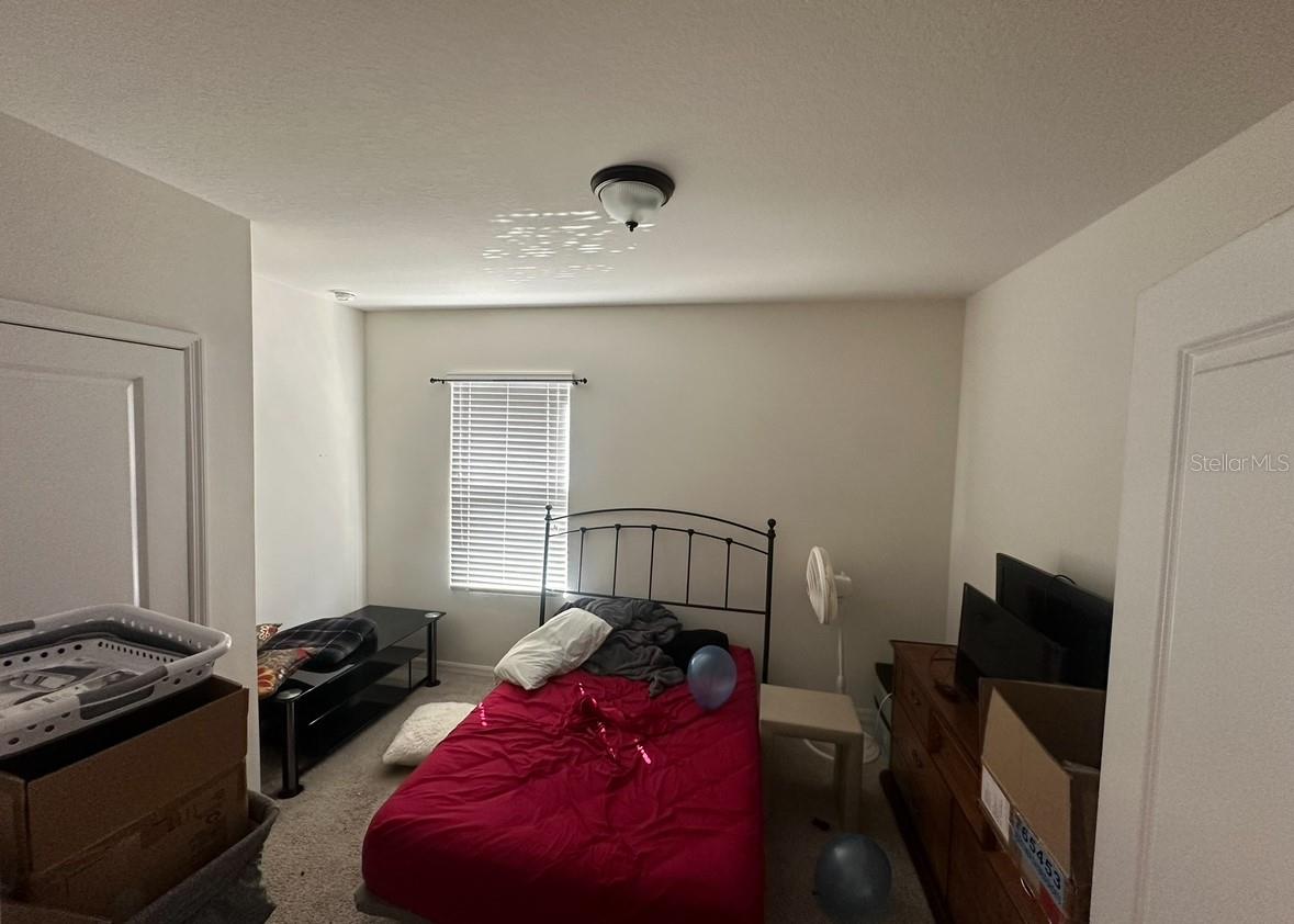 1006 ASHENTREE DR, PLANT CITY, FL, 33563