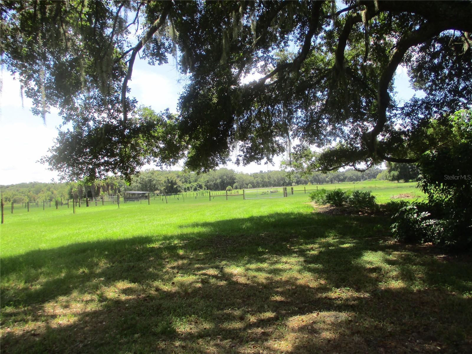 33 SW 97TH PL, WEBSTER, FL, 33597