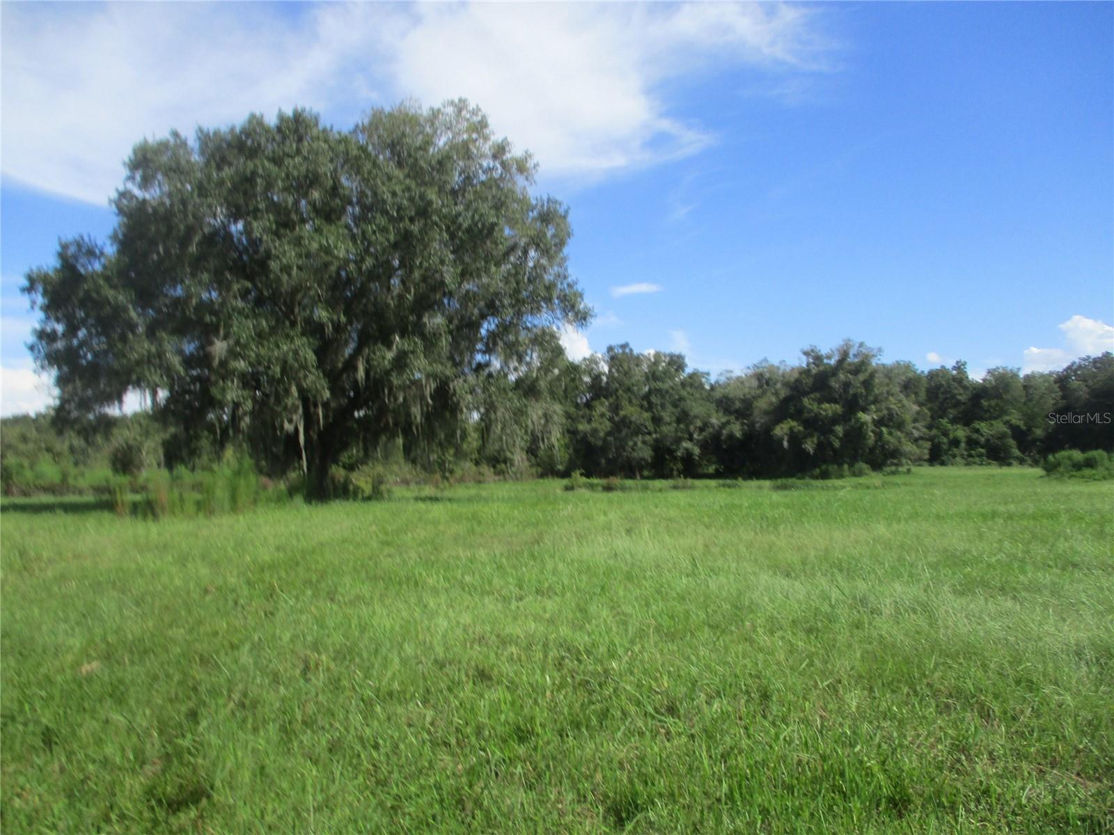 33 SW 97TH PL, WEBSTER, FL, 33597