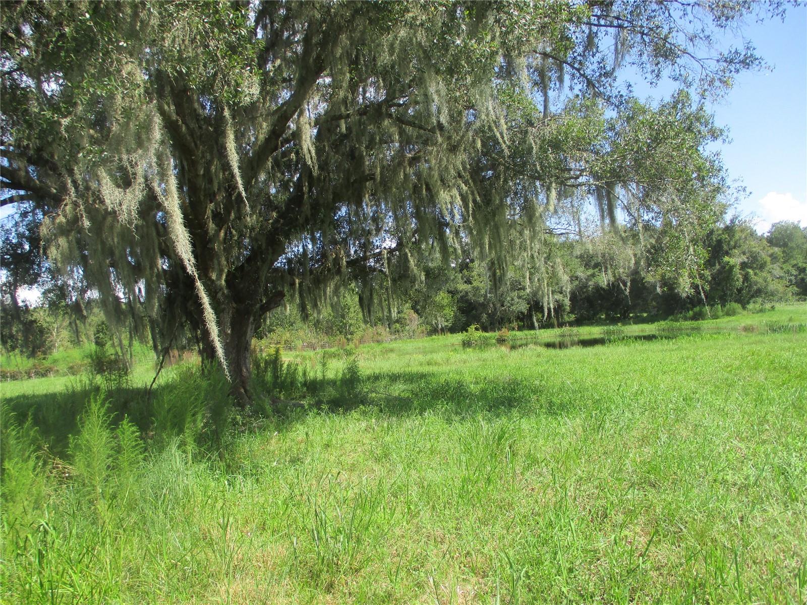 33 SW 97TH PL, WEBSTER, FL, 33597