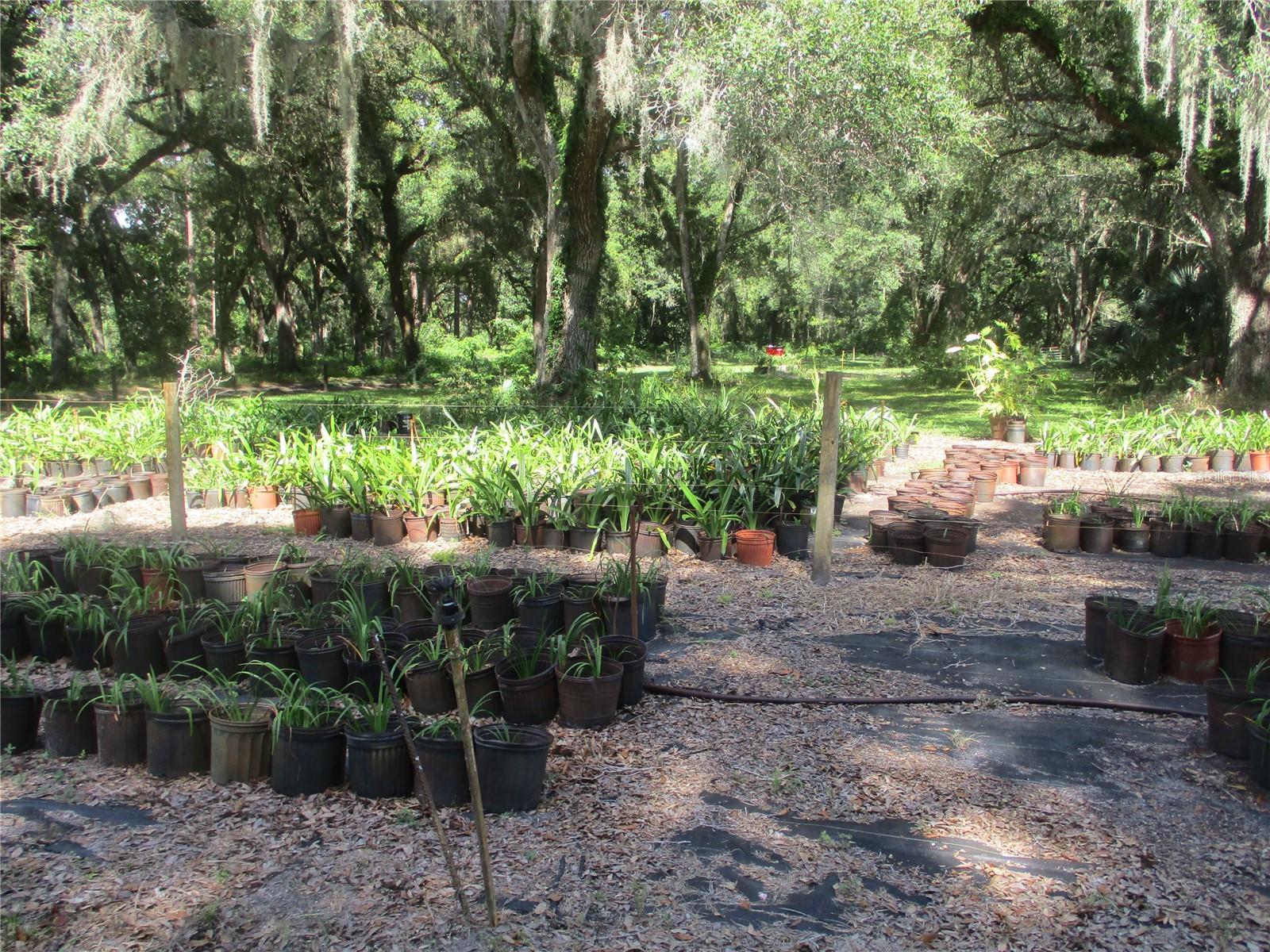 33 SW 97TH PL, WEBSTER, FL, 33597