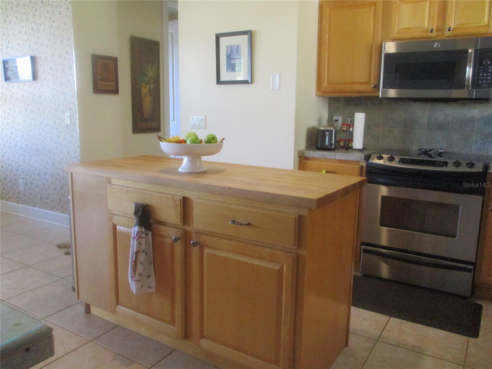 33 SW 97TH PL, WEBSTER, FL, 33597