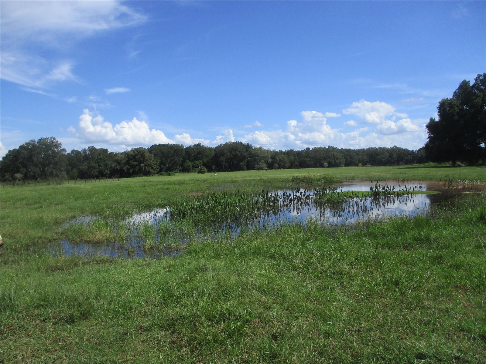 33 SW 97TH PL, WEBSTER, FL, 33597