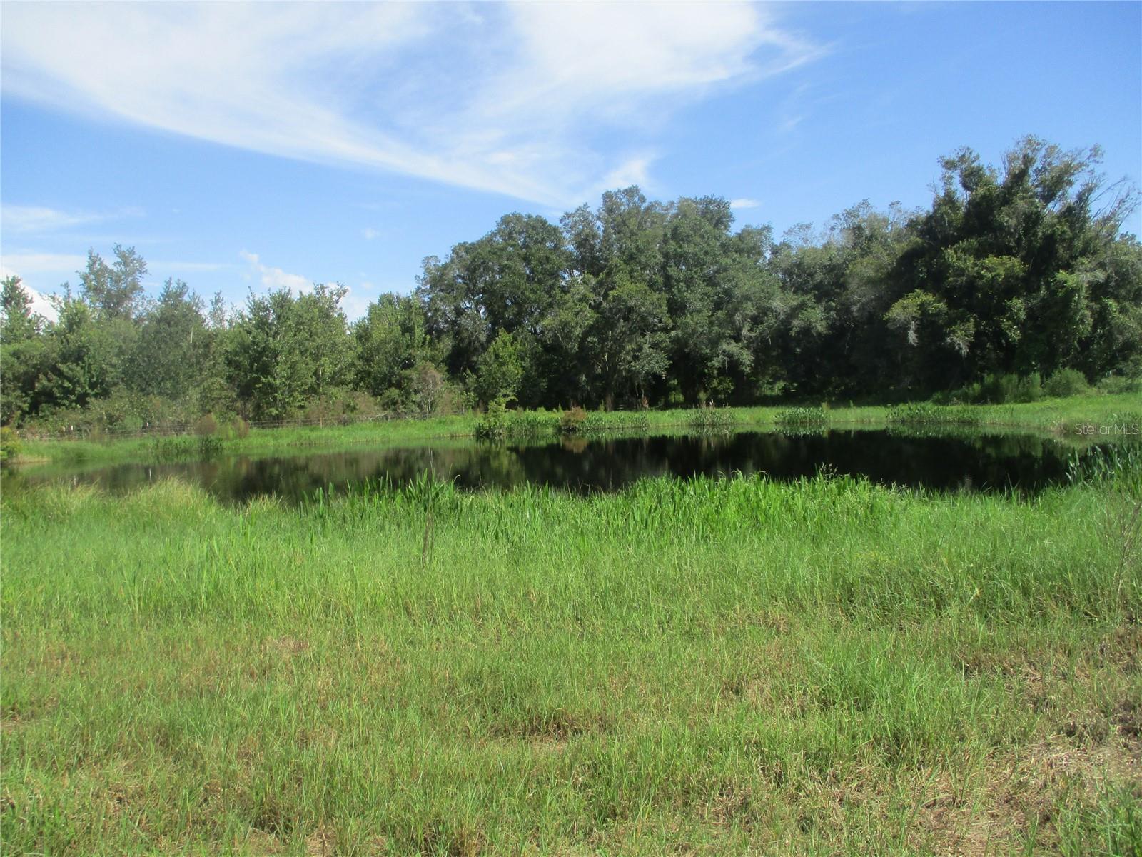 33 SW 97TH PL, WEBSTER, FL, 33597