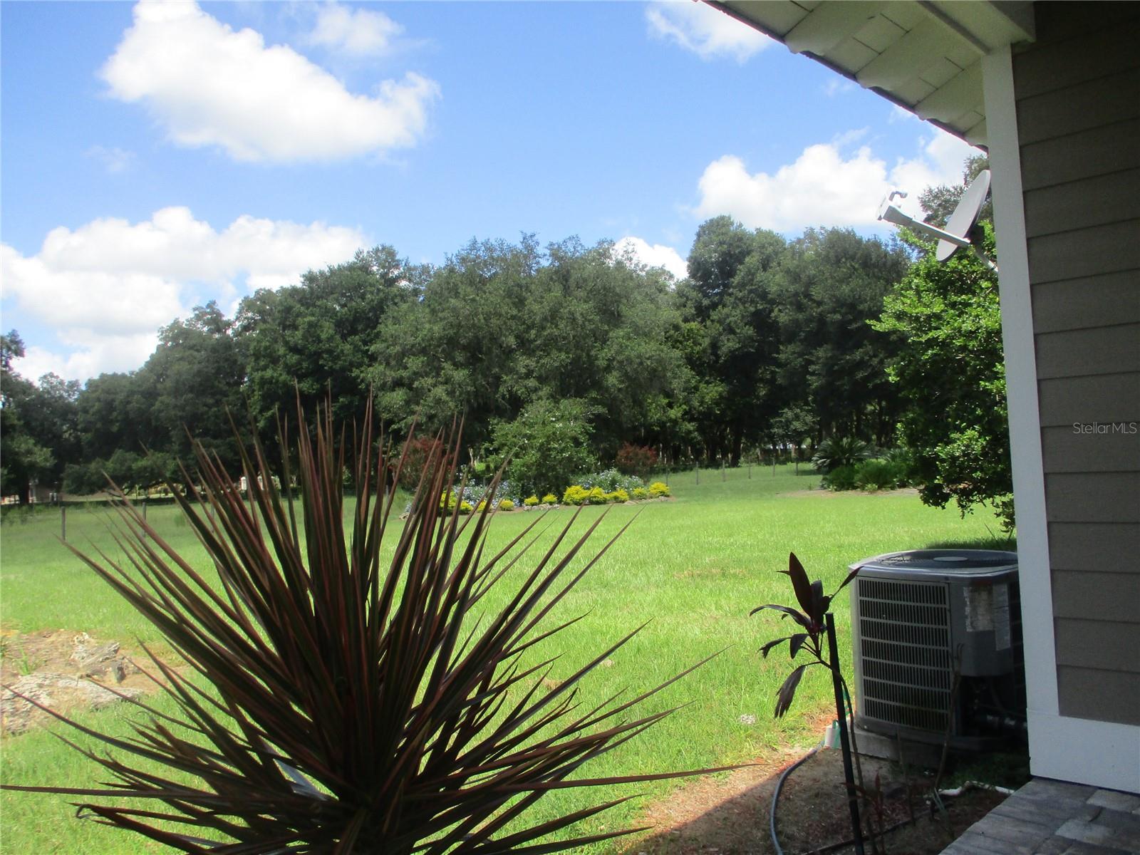33 SW 97TH PL, WEBSTER, FL, 33597