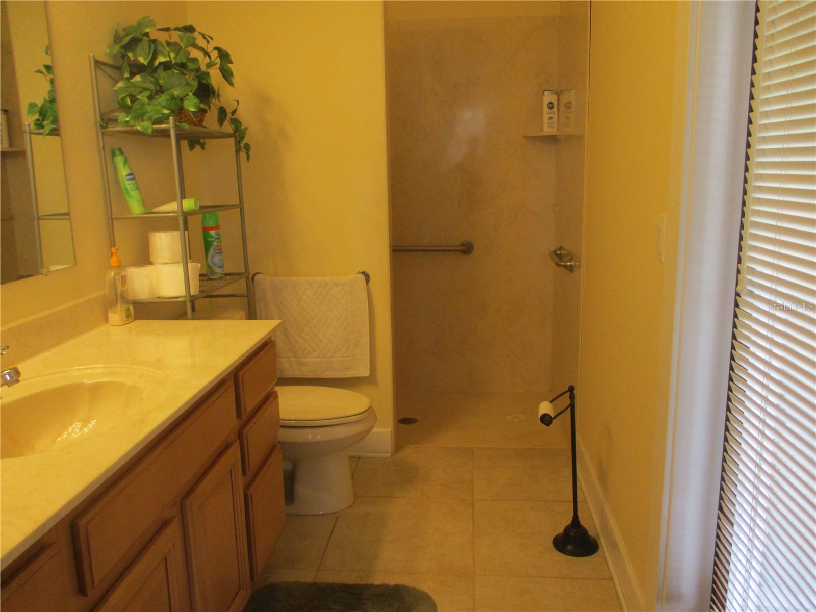 33 SW 97TH PL, WEBSTER, FL, 33597