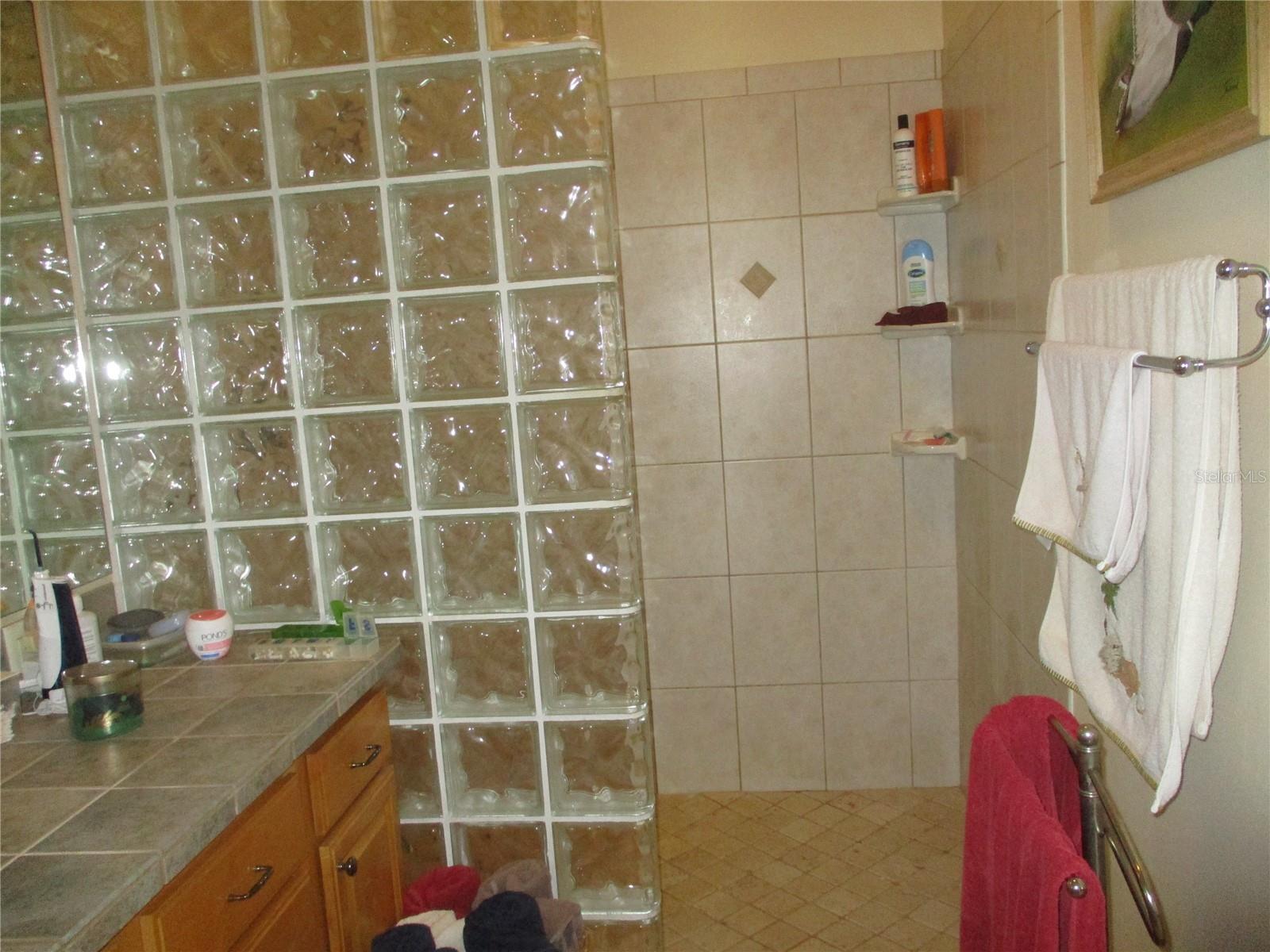 33 SW 97TH PL, WEBSTER, FL, 33597