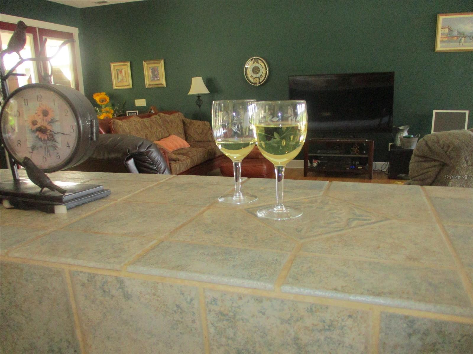 33 SW 97TH PL, WEBSTER, FL, 33597