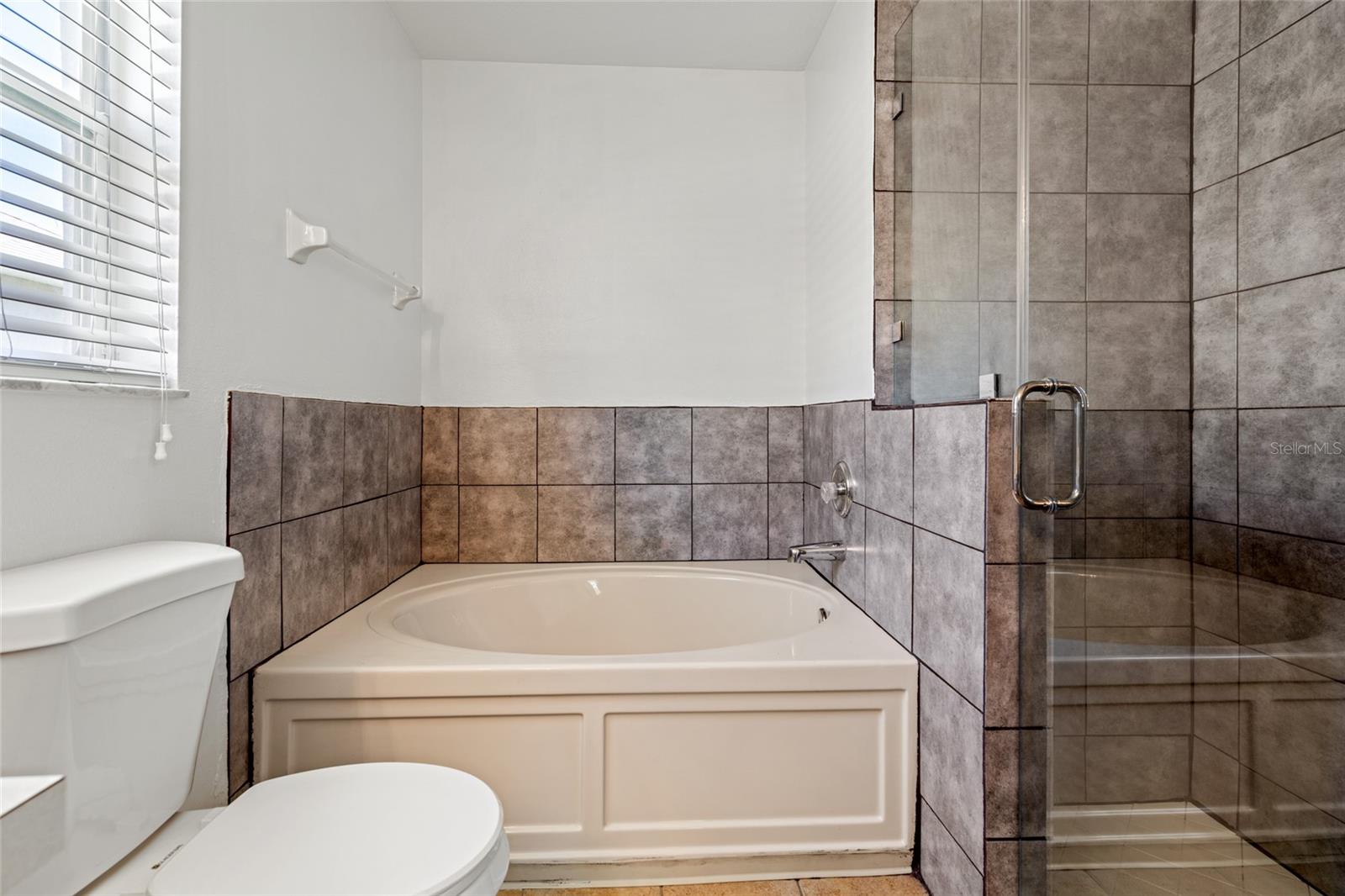31334 MAKINAW LN, WESLEY CHAPEL, FL, 33545