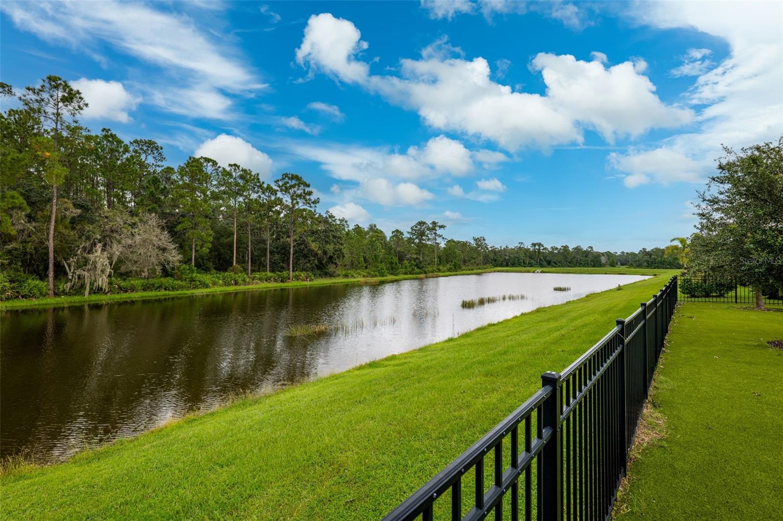 4095 WOODLAND RETREAT BLVD, NEW PORT RICHEY, FL, 34655