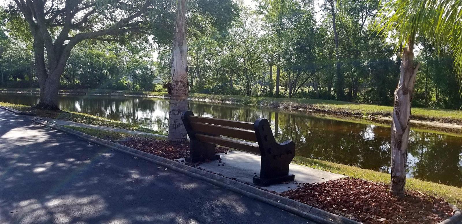 4201 AVANTI CIR, NEW PORT RICHEY, FL, 34655