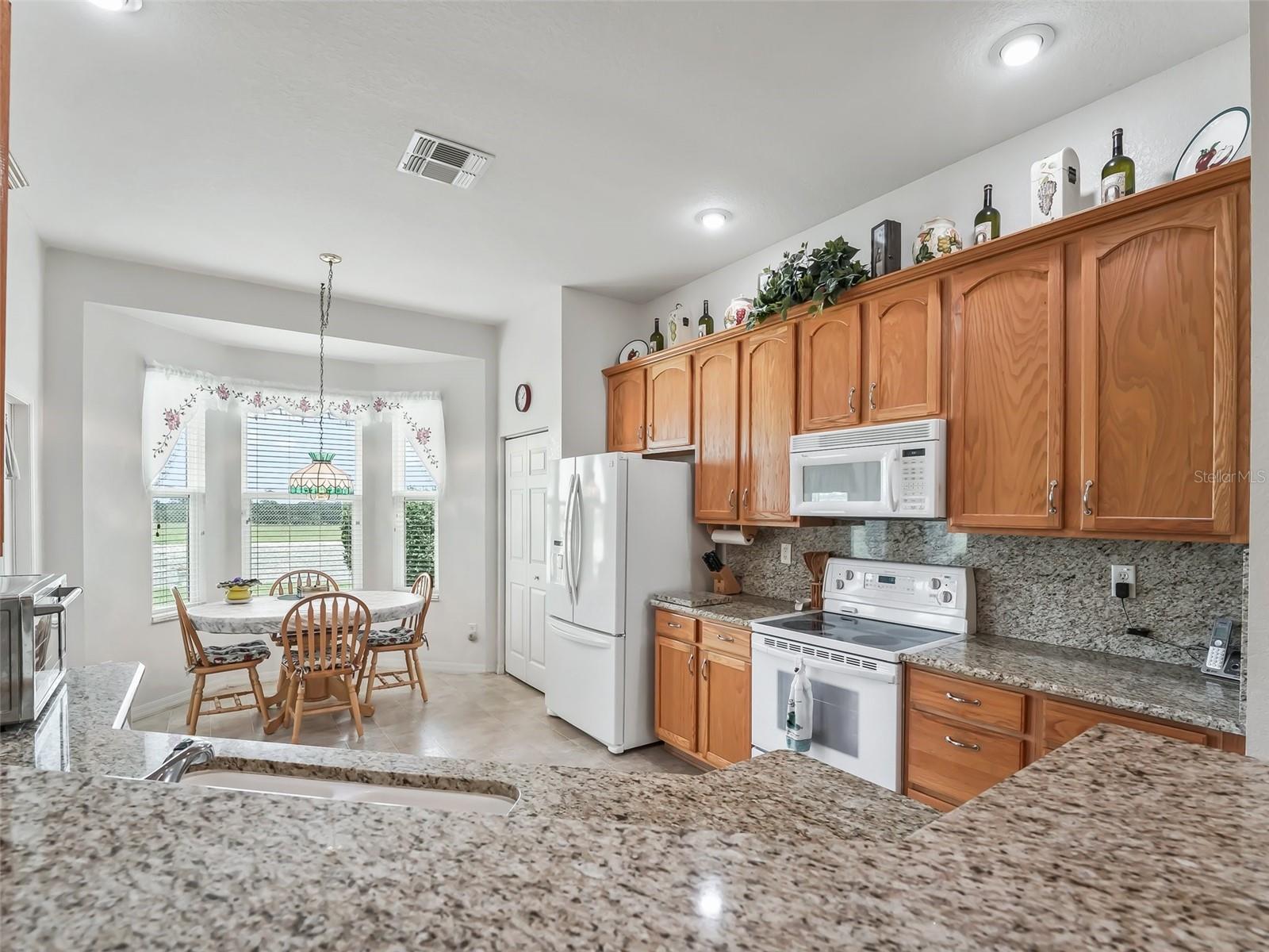 17038 SE 115TH TERRACE RD, SUMMERFIELD, FL, 34491