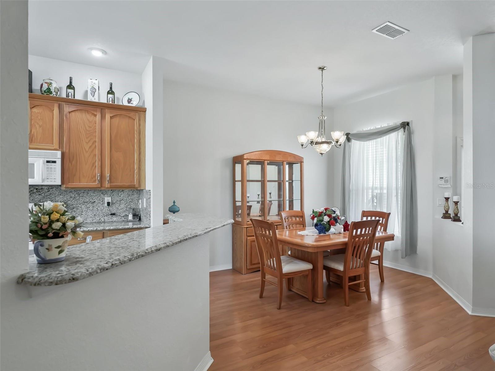 17038 SE 115TH TERRACE RD, SUMMERFIELD, FL, 34491