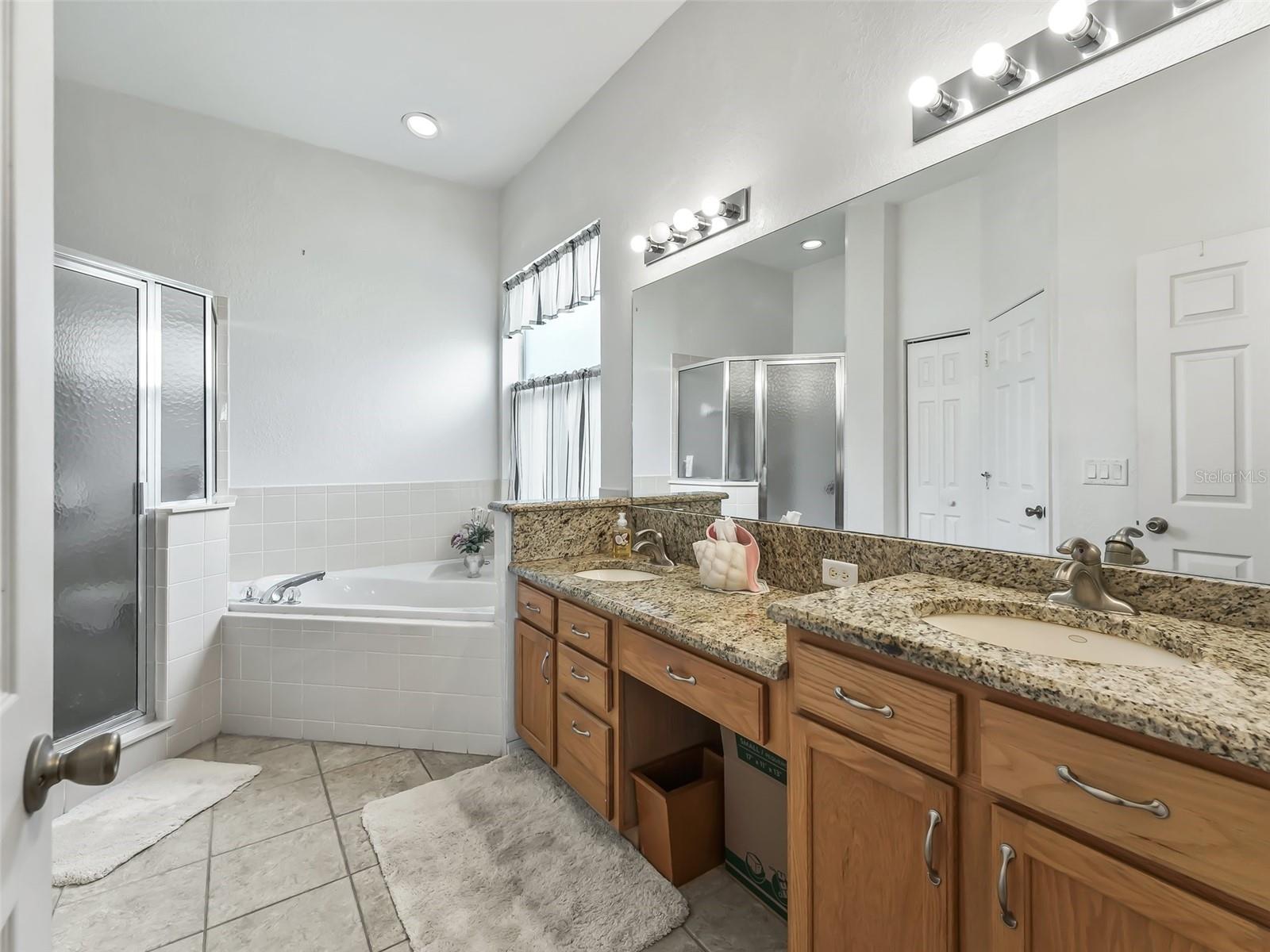 17038 SE 115TH TERRACE RD, SUMMERFIELD, FL, 34491