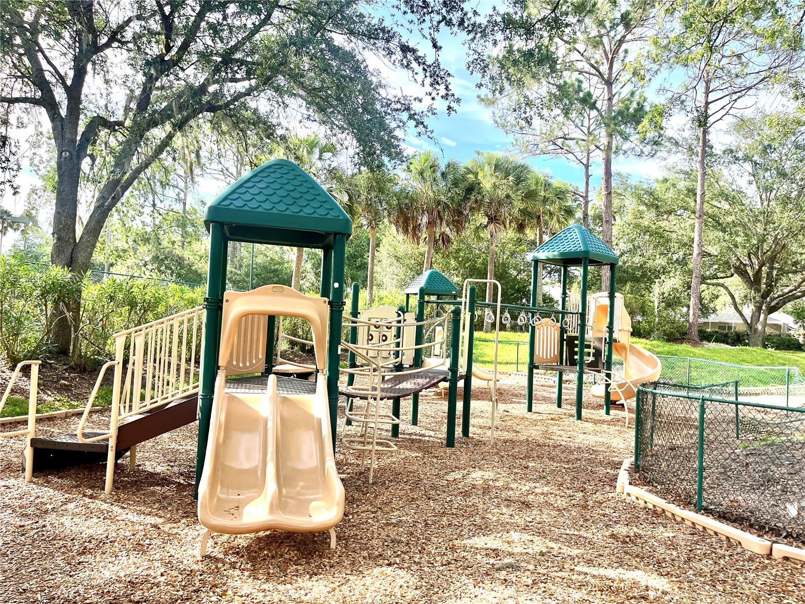 18080 ARBOR CREST DR, TAMPA, FL, 33647
