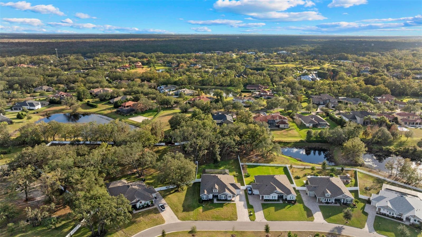 19859 SAMBAR DEER LOOP, LUTZ, FL, 33559